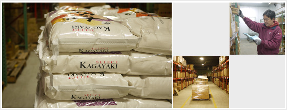 About Us – Daiei Trading – Finest Japanese food importers on the